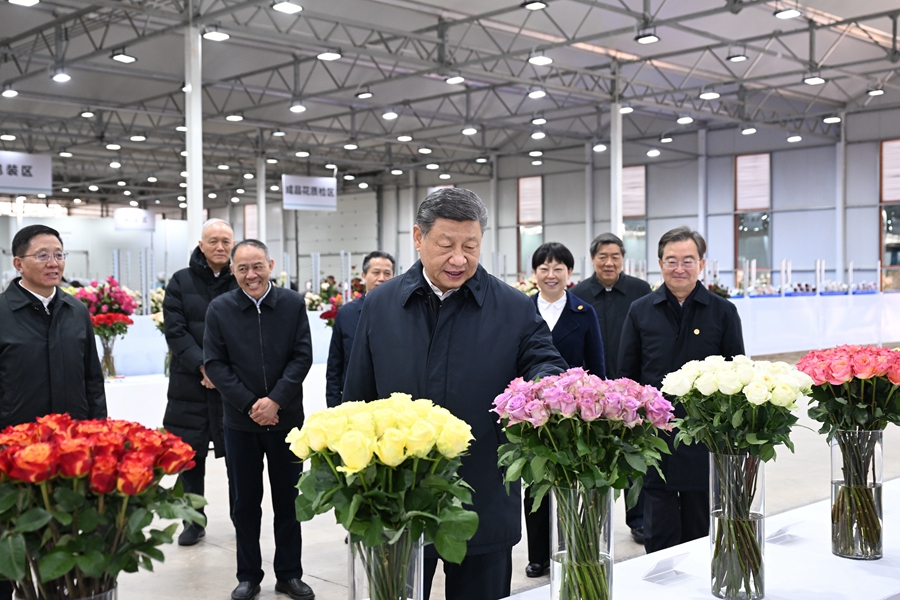 习主席1.jpeg