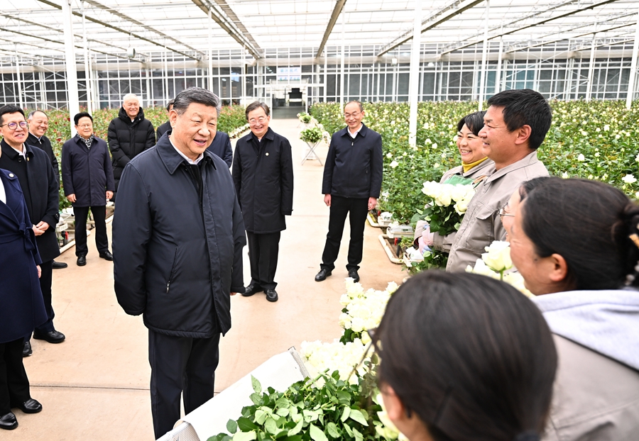 习主席2.jpeg