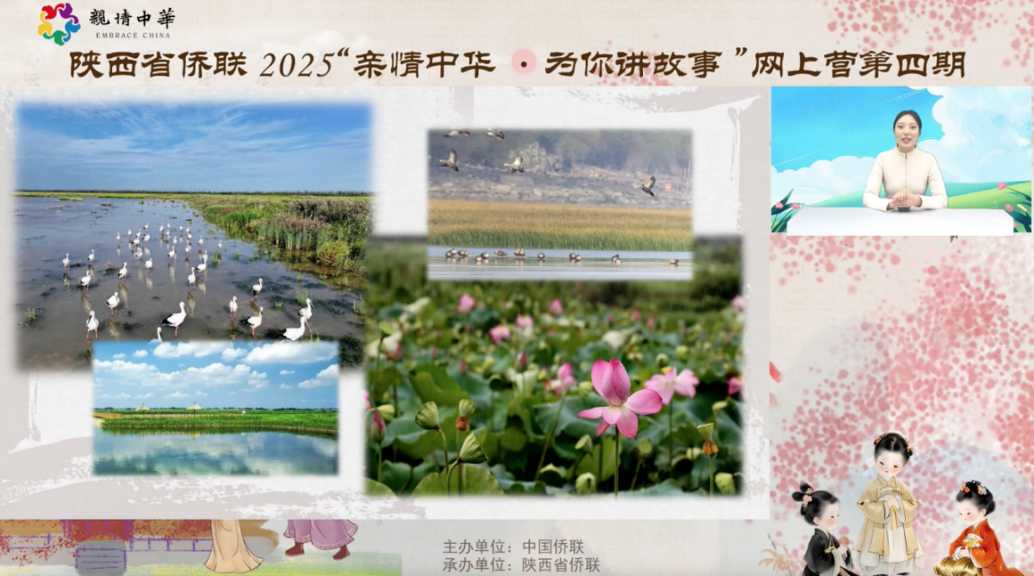 281761641938385646.png 281761641938385646.png